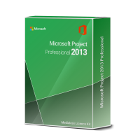 MS Microsoft Project 2013 Professional - 1PC Product Key Code Download