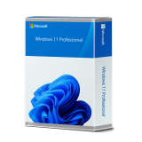 Microsoft Windows 11 Professional Retail Downloadlizenz